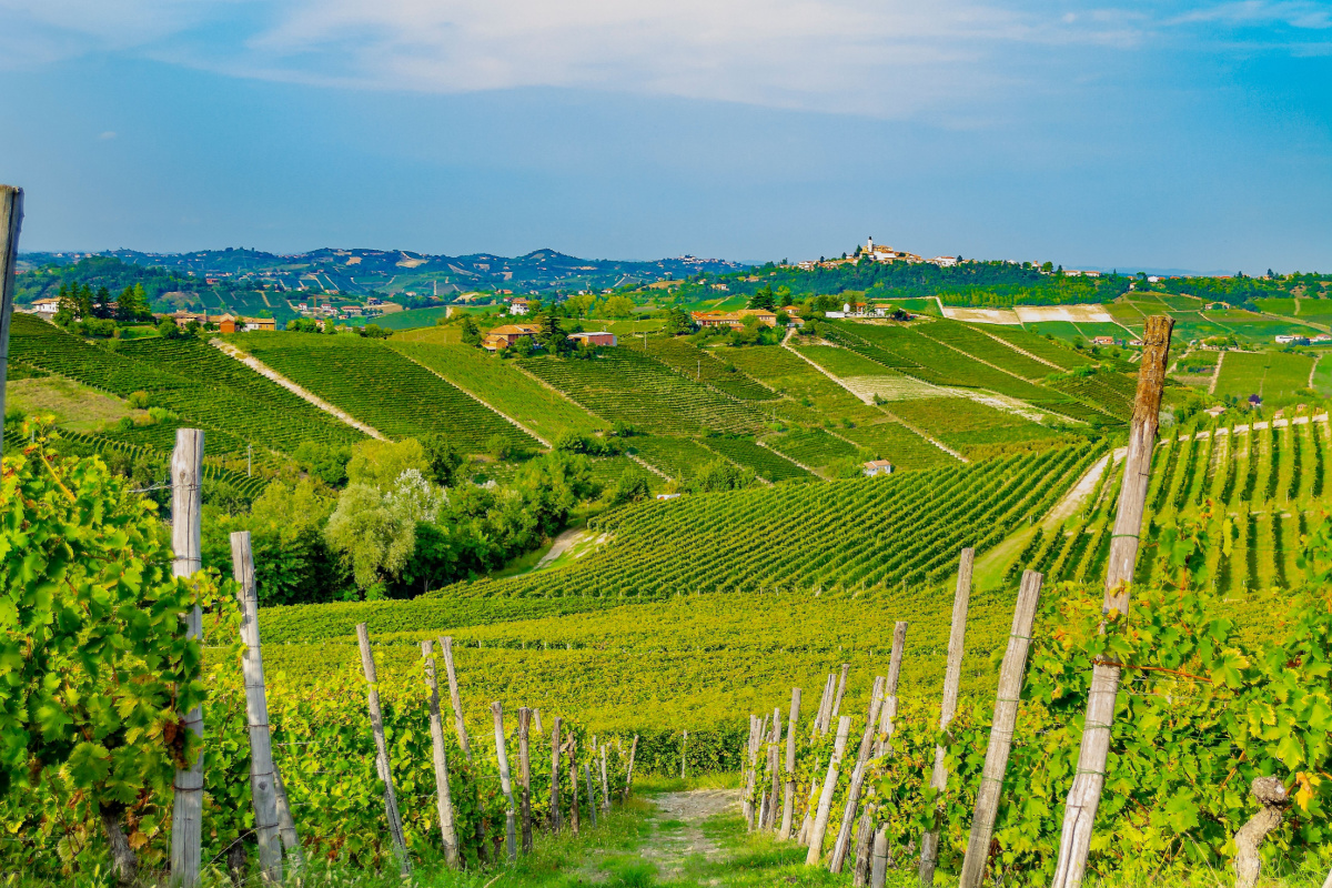 Tra le colline del Piemonte c'è un borgo a dir poco frizzante! Si trova nell'Astigiano ed è la casa di un vino pregiatissimo 