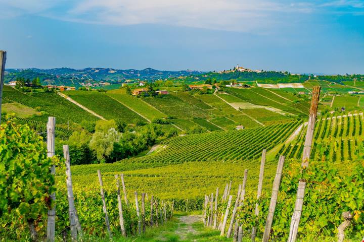 Tra le colline del Piemonte c'è un borgo a dir poco frizzante! Si trova nell'Astigiano ed è la casa di un vino pregiatissimo