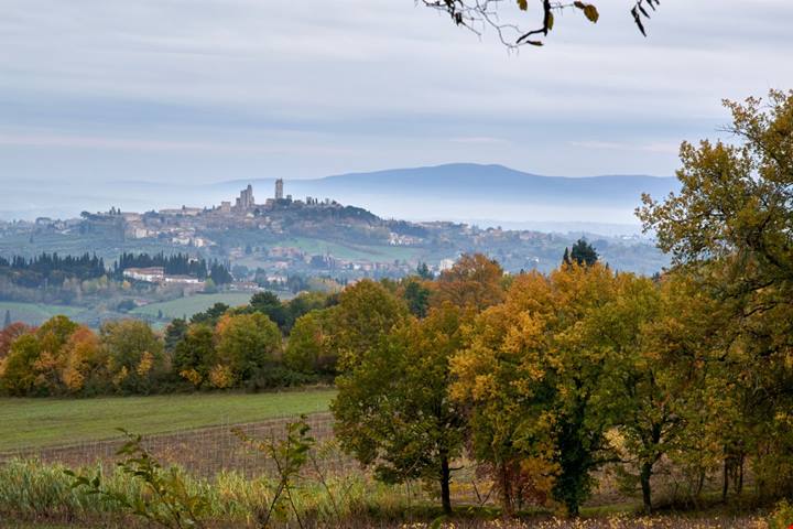 Olio di qualità e tradizione secolare: tra Firenze e Pisa c'è uno dei borghi d'arte più belli della Toscana