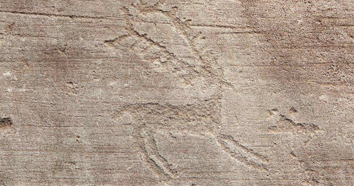 Un tuffo nel verde fino a migliaia di anni fa: in Valcamonica puoi ammirare le opere d'arte più antiche di tutta Italia |PaesiOnLine