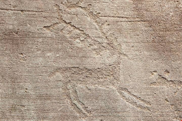 Un tuffo nel verde fino a migliaia di anni fa: in Valcamonica puoi ammirare le opere d'arte più antiche di tutta Italia |PaesiOnLine