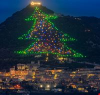 albero-di-natale-gubbio albero-di-natale-gubbio