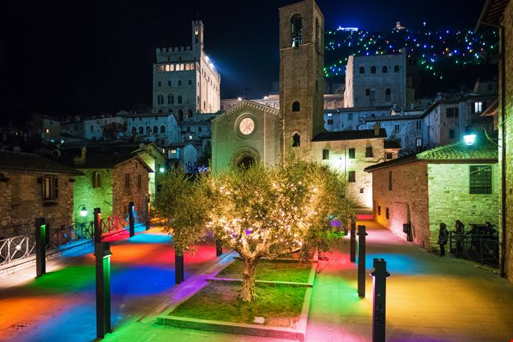 Non parliamo di New York e nemmeno di Londra: l'albero di natale più grande del mondo si accenderà in una città d'arte tutta italiana |PaesiOnLine