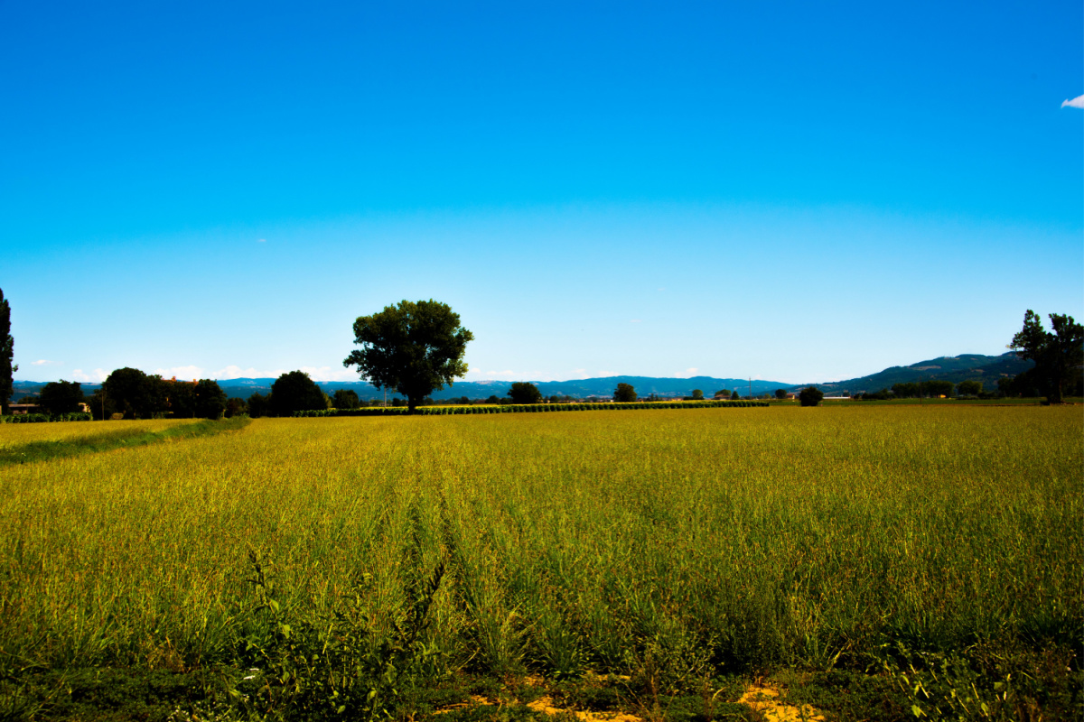 Uno dei pochi borghi dove la meraviglia comincia prima di arrivare: si trova in Umbria e le sue colline sono una vera e propria sinfonia di forme e colori