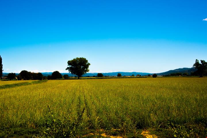 Uno dei pochi borghi dove la meraviglia comincia prima di arrivare: si trova in Umbria e le sue colline sono una vera e propria sinfonia di forme e colori