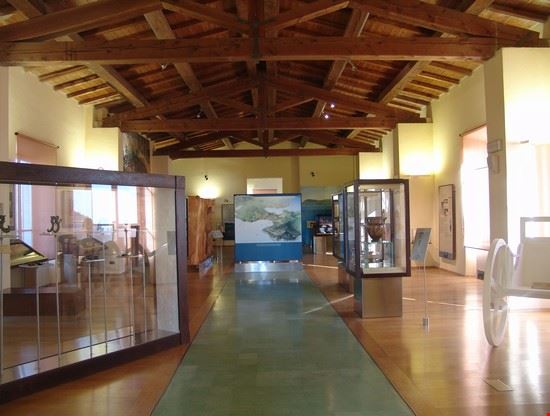 Museo archeologico del Territorio di Populonia - Erika Grilli - Erika Grilli