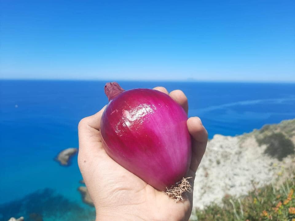 Tropea, un territorio incredibile come il suo ingrediente simbolo