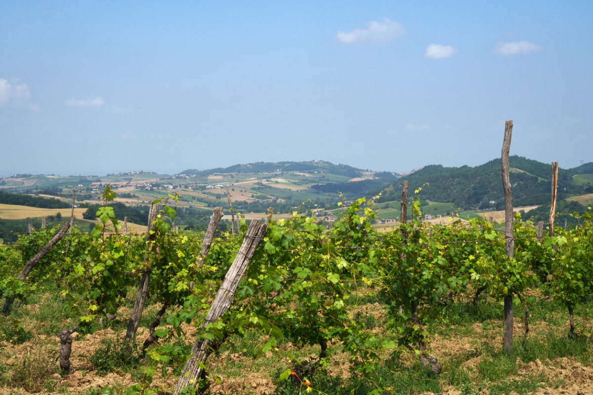 Tra le profumate vigne dei dolci colli piemontesi, sorge un piccolo borgo di origine medievale che è una vera e propria delizia