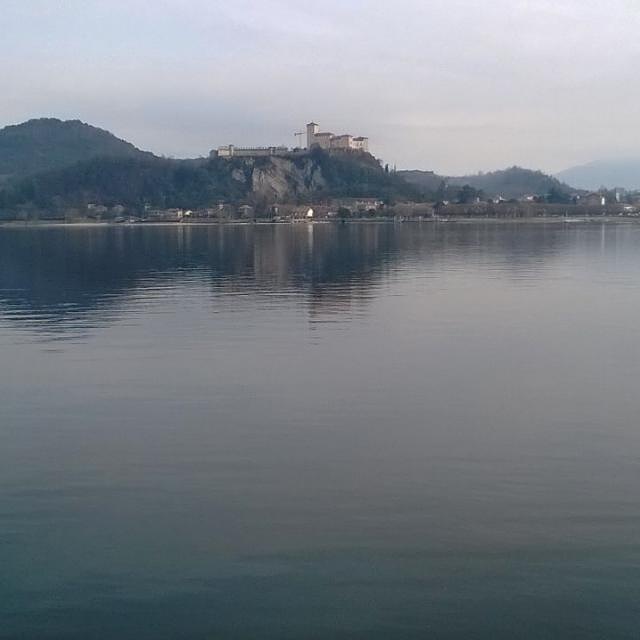 Arona