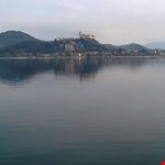 Arona