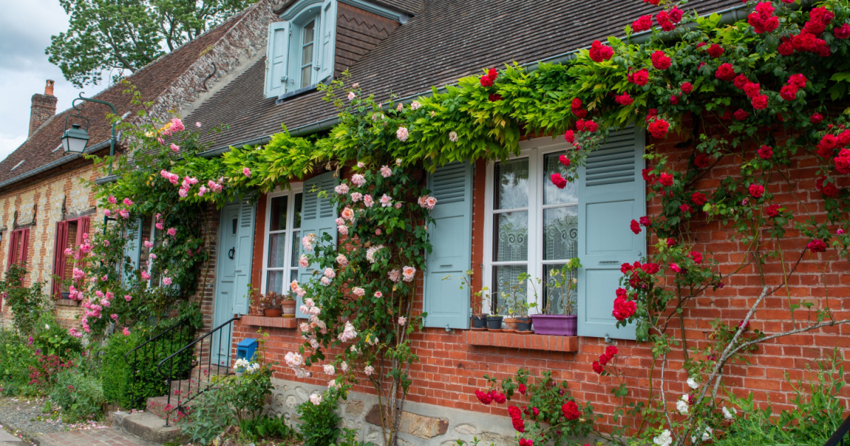 Conosci il villaggio dei mille roseti? Questo meraviglioso centro storico si trova non lontano da Parigi ed è davvero romantico | PaesiOnLine