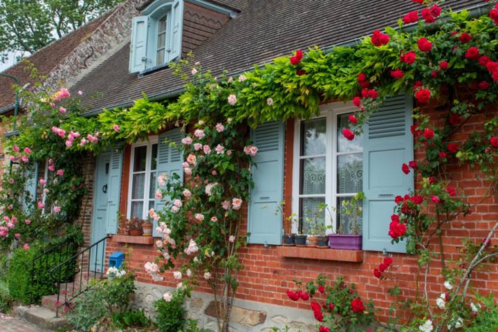 Conosci il villaggio dei mille roseti? Questo meraviglioso centro storico si trova non lontano da Parigi ed è davvero romantico | PaesiOnLine