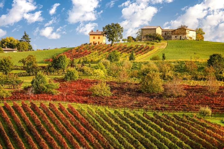 Questo meraviglioso borgo tra le colline intorno a Modena negli anni si è ritagliato un posto d'onore tra le bellezze del Bel Paese | PaesiOnLine