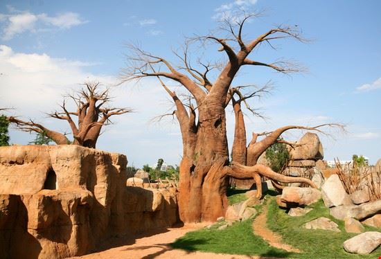 Bioparc - Fonte: haak78 - ©Shutterstock - haak78 - ©Shutterstock - haak78 - ©Shutterstock