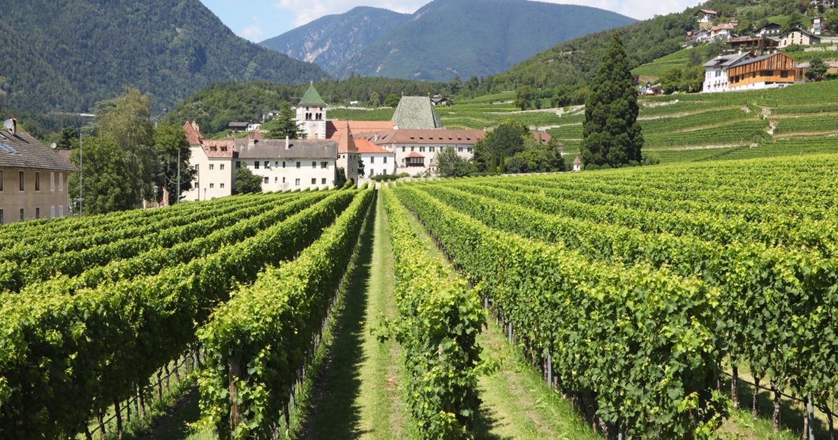 Secoli di storia e vino d'autore: tutto questo è racchiuso in un'antica abbazia che si erge maestosa sulle cime dell'Alto Adige | PaesiOnLine