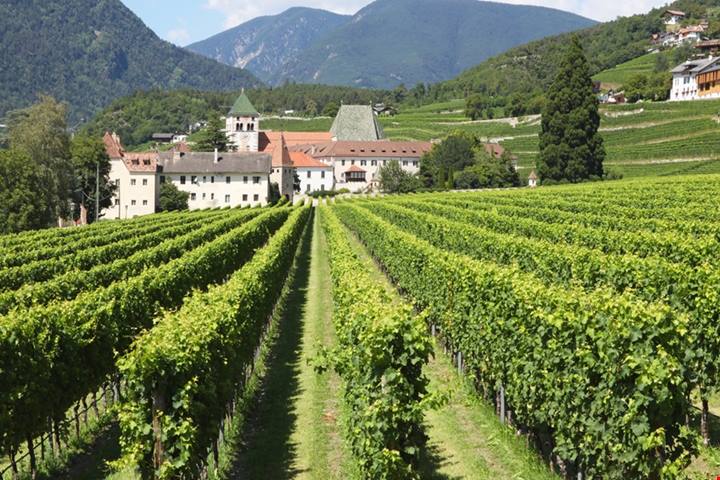 Secoli di storia e vino d'autore: tutto questo è racchiuso in un'antica abbazia che si erge maestosa sulle cime dell'Alto Adige | PaesiOnLine