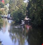 Nikoping