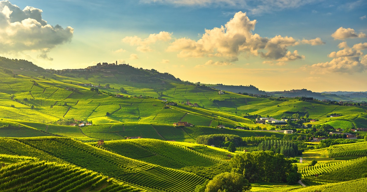 In Piemonte c'è un percorso di gusto che ti regalerà un 25 aprile tra vigneti e ristoranti stellati