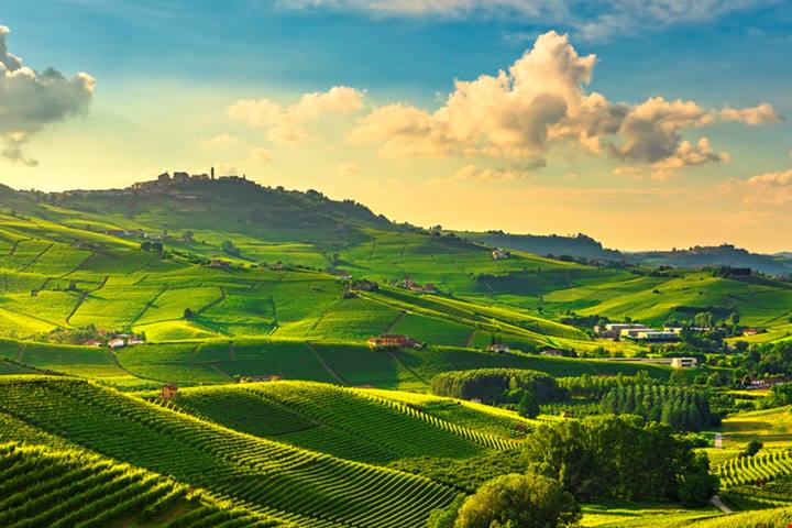 In Piemonte c'è un percorso di gusto che ti regalerà un 25 aprile tra vigneti e ristoranti stellati