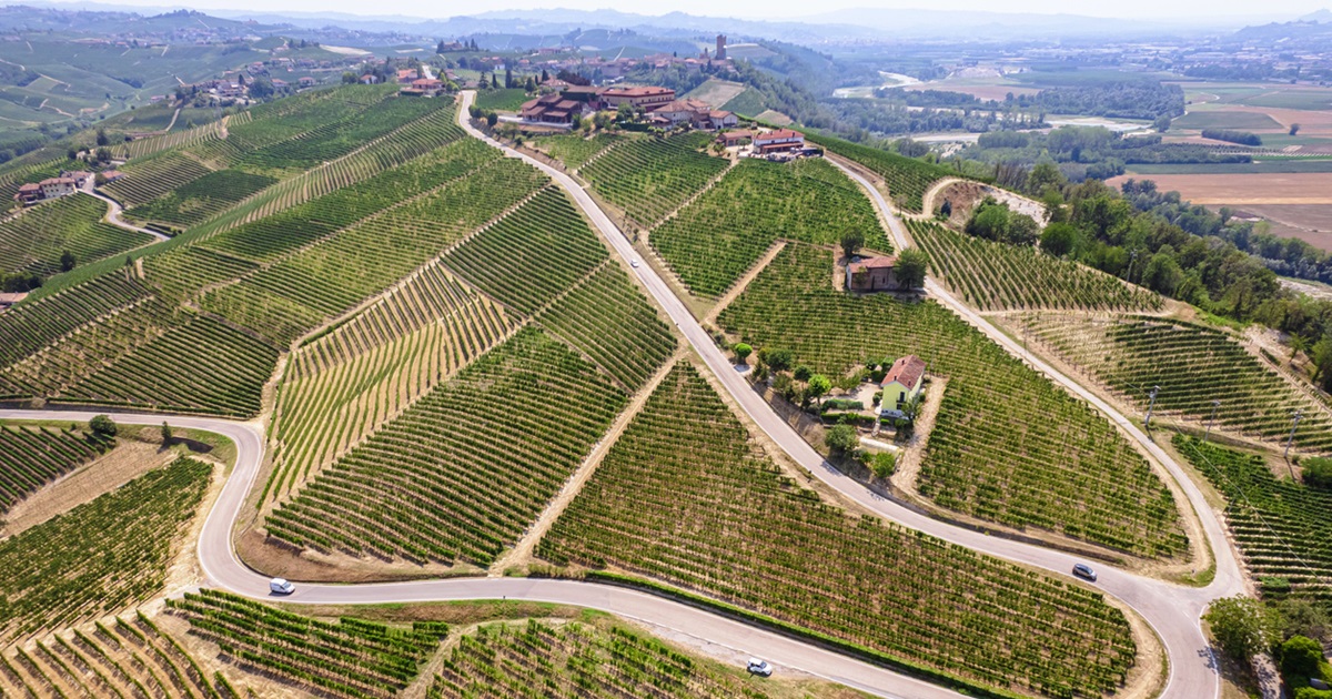 In Piemonte c'è un percorso di gusto che ti regalerà un 25 aprile tra vigneti e ristoranti stellati