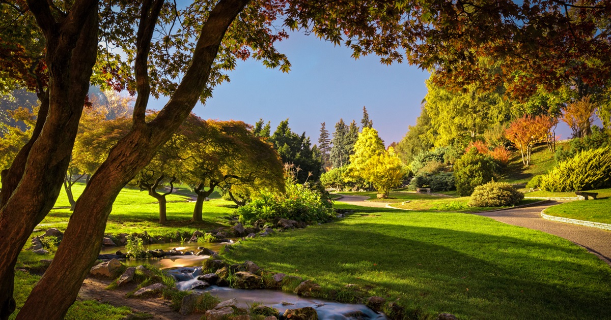 L'autunno a Torino inizia prima: nel suo parco simbolo i colori della nuova stagione la fanno da padrone