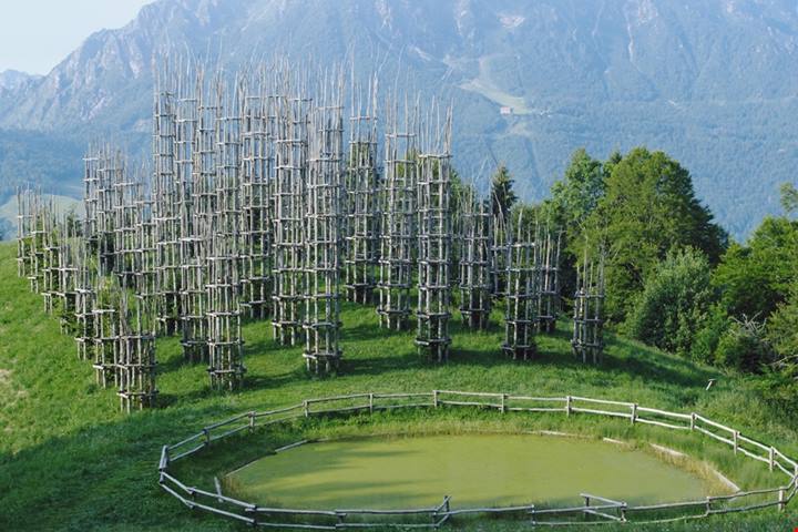 Nel bergamasco c'è un tesoro insolito fatto di rami e di radici! Non è un giardino, ma una meravigliosa cattedrale | PaesiOnLine