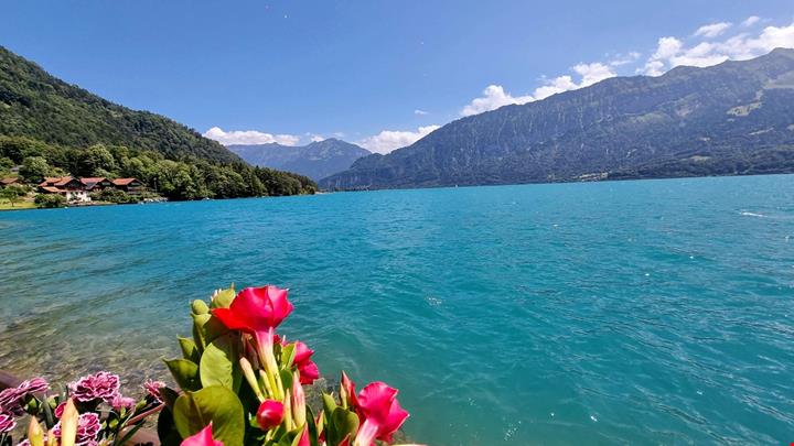 Interlaken_Lago di Thun_ Foto ©Voicesearch.travel