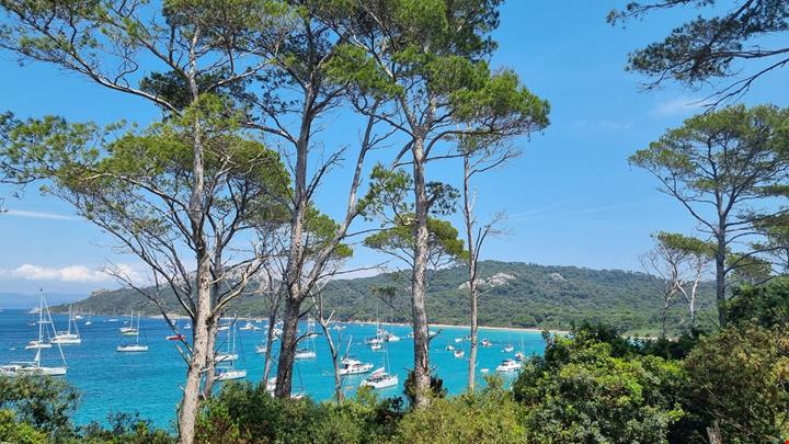 Porquerolles_Foto di Voicesearch.travel