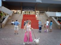 Davanti al Palais du Cinema