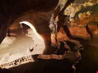 Grotte di Toirano 