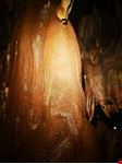 Grotte di Toirano 