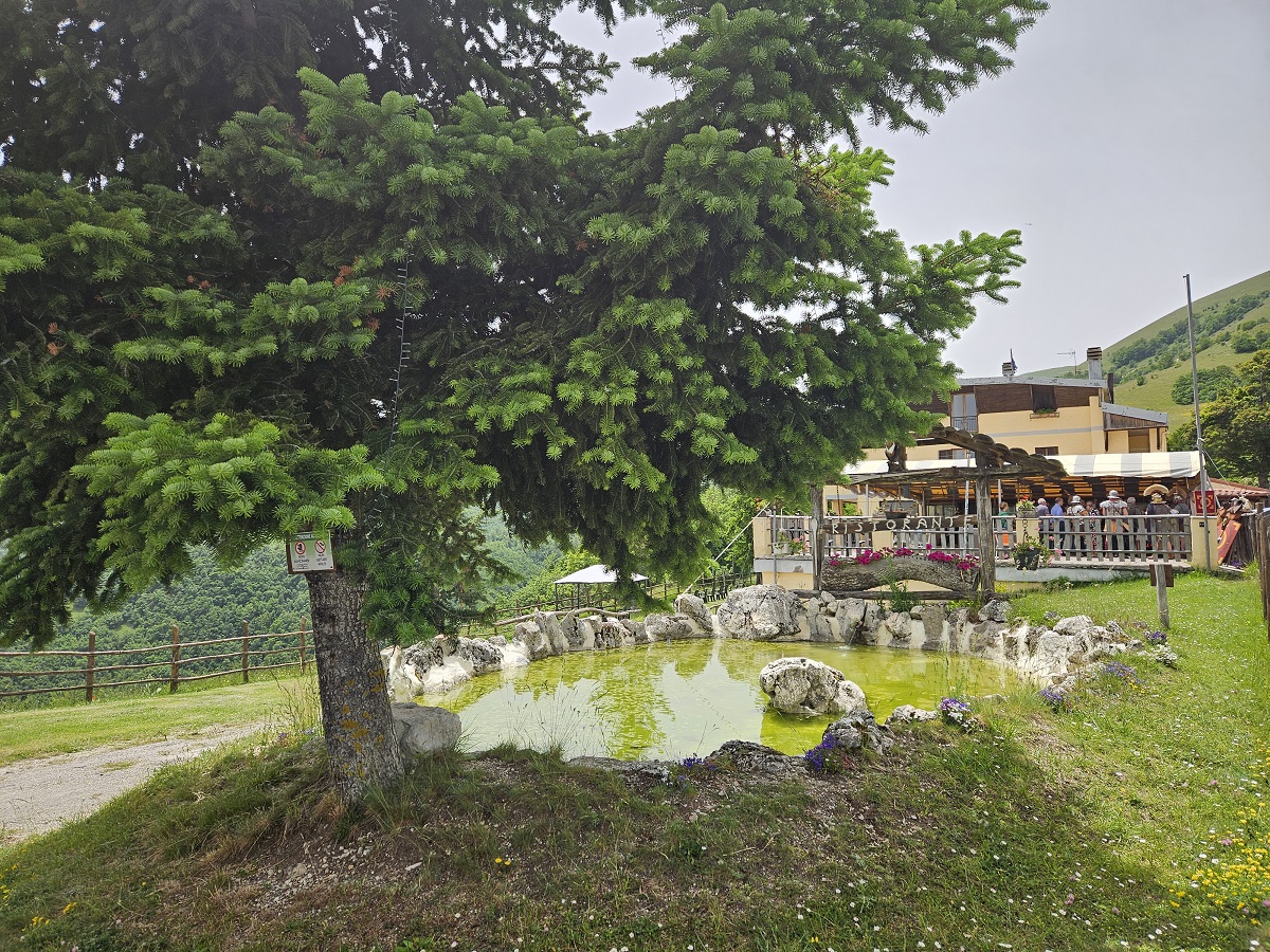 Tra ville imperiali, ninfei segreti e delizie enogastronomiche: un viaggio sulle orme di Vespasiano, nel cuore della storia romana, accompagnati dallo storico Pietro Nelli