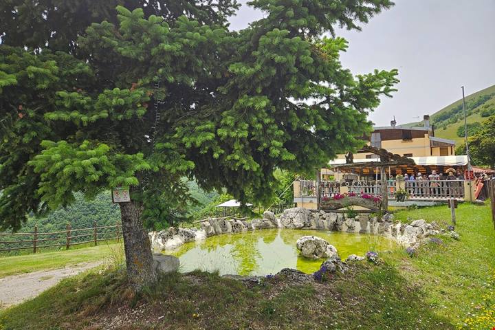 Tra ville imperiali, ninfei segreti e delizie enogastronomiche: un viaggio sulle orme di Vespasiano, nel cuore della storia romana, accompagnati dallo storico Pietro Nelli