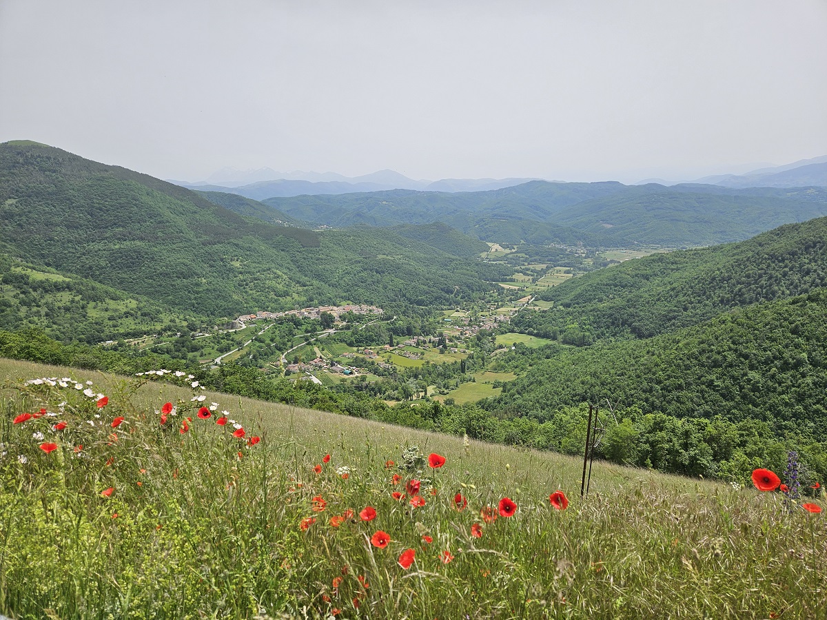 Tra ville imperiali, ninfei segreti e delizie enogastronomiche: un viaggio sulle orme di Vespasiano, nel cuore della storia romana, accompagnati dallo storico Pietro Nelli
