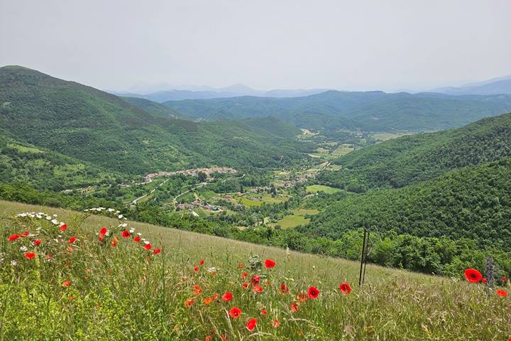 Tra ville imperiali, ninfei segreti e delizie enogastronomiche: un viaggio sulle orme di Vespasiano, nel cuore della storia romana, accompagnati dallo storico Pietro Nelli
