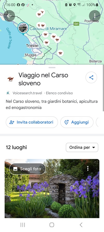 I leggendari cavalli di Lipiza: un' esperienza indimenticabile a pochi passi da Trieste