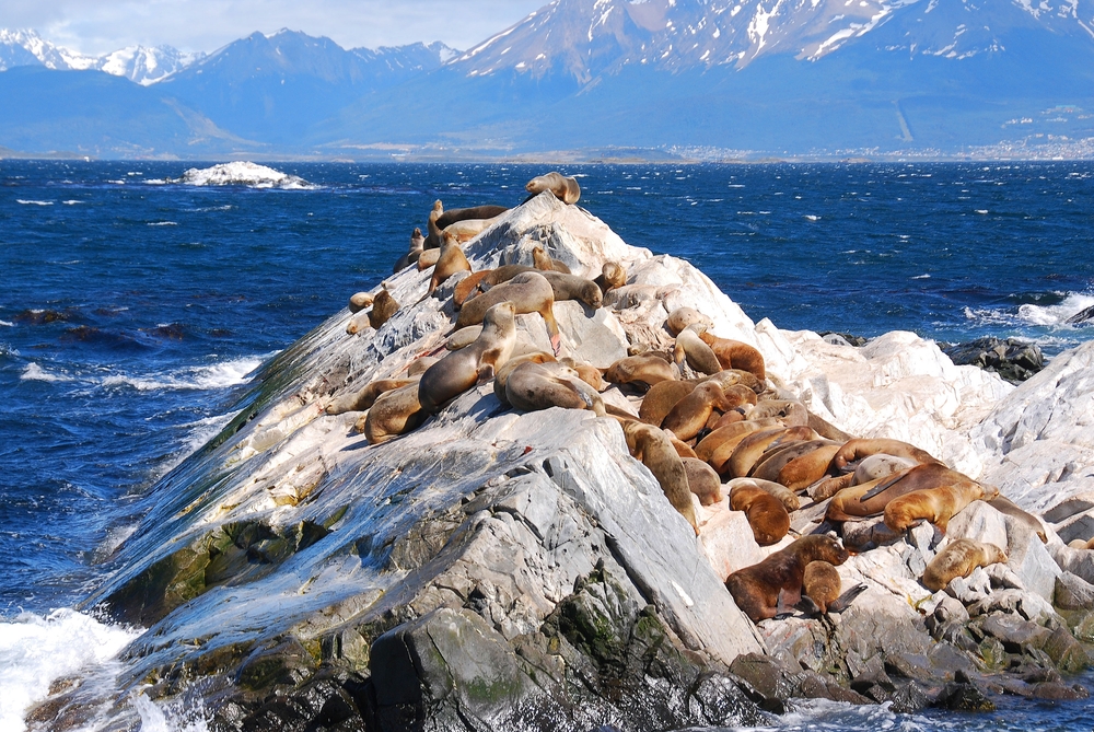 Ushuaia, in Argentina: un viaggio alla fine del mondo