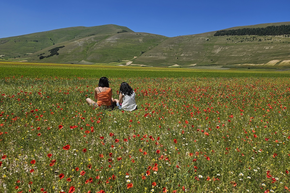 Castelluccio di Norcia Foto Voicesearch.travel