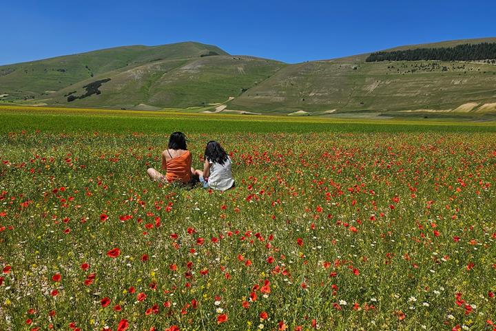 Castelluccio di Norcia Foto Voicesearch.travel