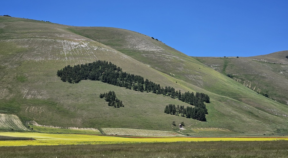 Da Cittareale nell'entroterra reatino ai campi fioristi di Castelluccio di Norcia, un percorso di sorprese tra natura, storia ed enogastronomia.