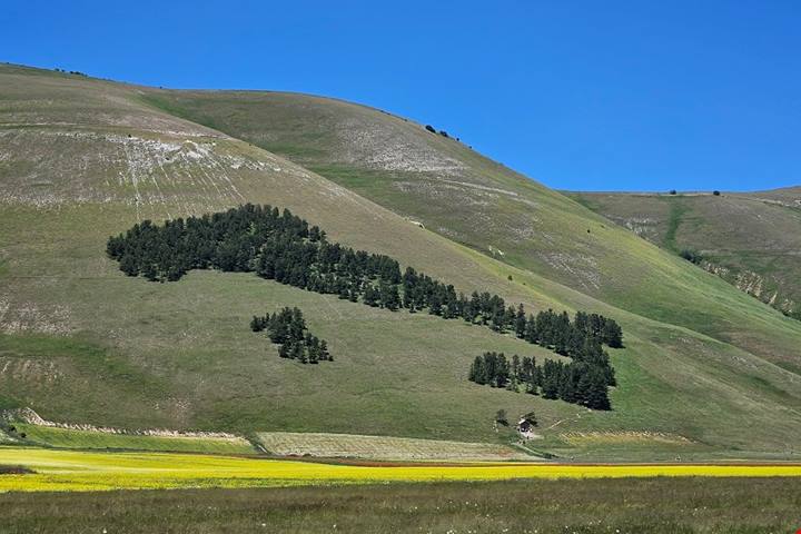 Da Cittareale nell'entroterra reatino ai campi fioristi di Castelluccio di Norcia, un percorso di sorprese tra natura, storia ed enogastronomia.