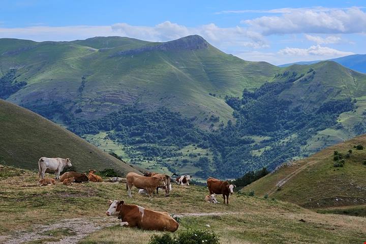 Da Cittareale nell'entroterra reatino ai campi fioristi di Castelluccio di Norcia, un percorso di sorprese tra natura, storia ed enogastronomia.