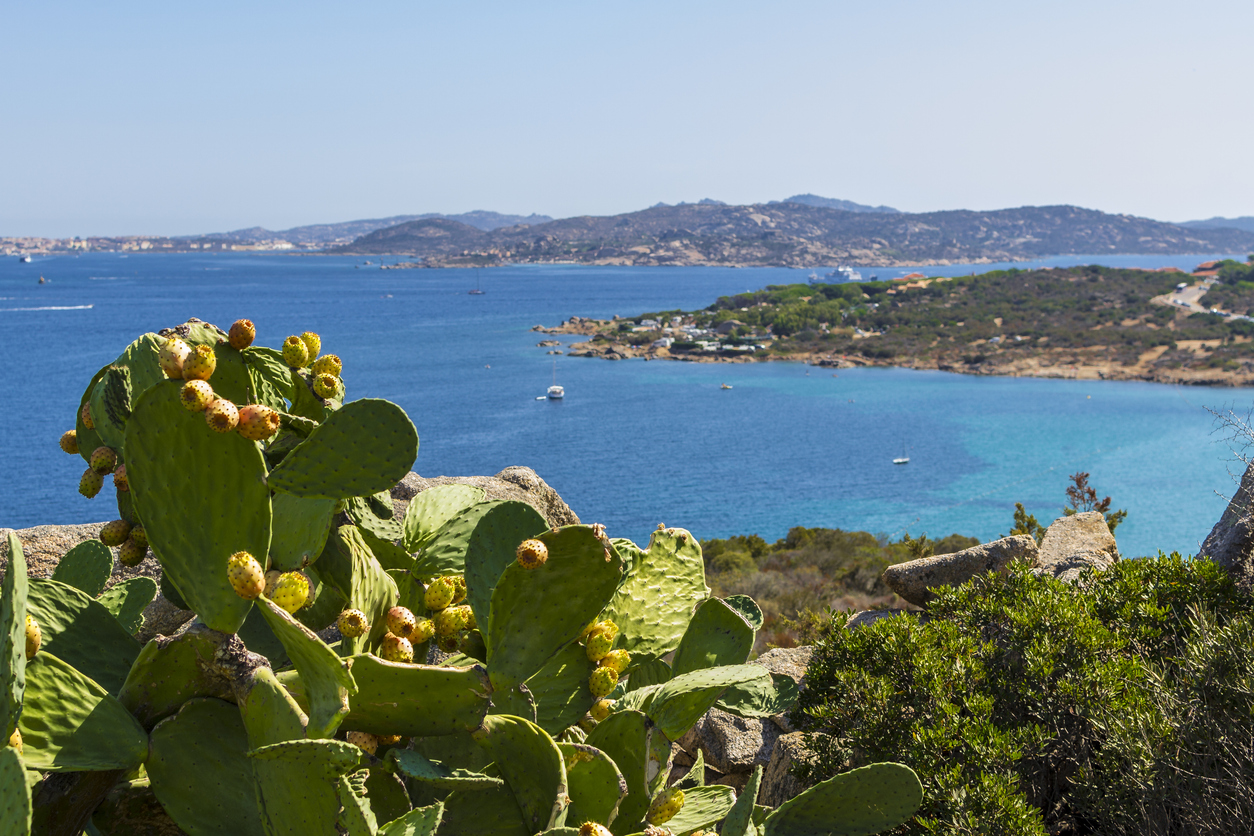 Vele tra venti e acque cristalline, scopri il paradiso del windsurf in Sardegna, in un viaggio adrenalinico all’insegna di sport e panorami da sogno