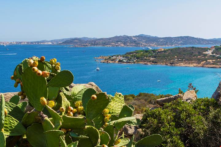 Vele tra venti e acque cristalline, scopri il paradiso del windsurf in Sardegna, in un viaggio adrenalinico all’insegna di sport e panorami da sogno