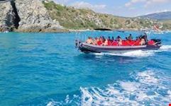Tropea SeaLife