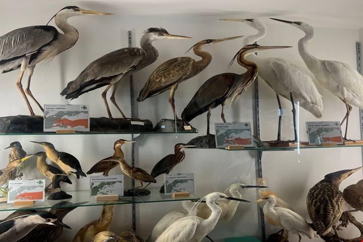 Gusto e Natura del Cilento, un appassionante tour alla scoperta di un territorio sorprendente per natura, storia e cultura enogastronomica | PaesiOnLine