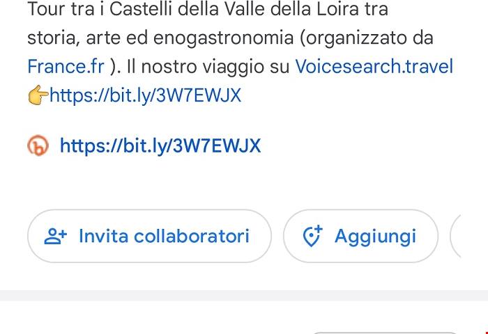 Alla scoperta della Loire à Vélo: un viaggio enogastronomico tra castelli e paesaggi da sogno