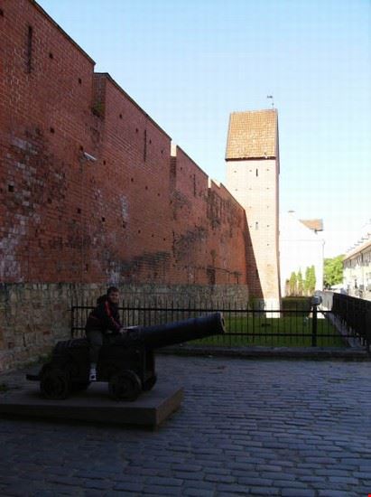  Riga marco vignaroli marco vignaroli