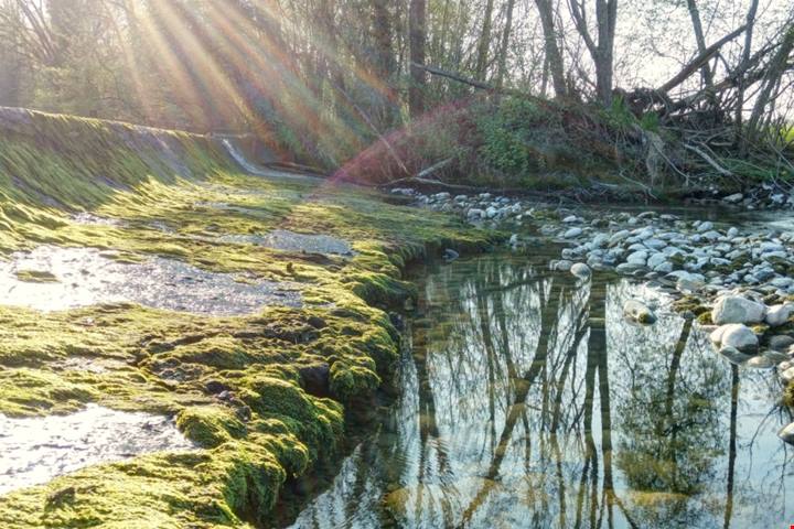 Vuoi sfuggire al caldo di Milano? A pochi km dalla città c'è un antico borgo medievale dominato da una meravigliosa abbazia | PaesiOnLine