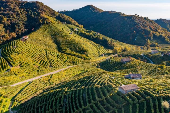 Tra canali e terrazze, il borgo del prosecco è un gioiello frizzante tra le colline del Veneto: ecco cosa devi sapere